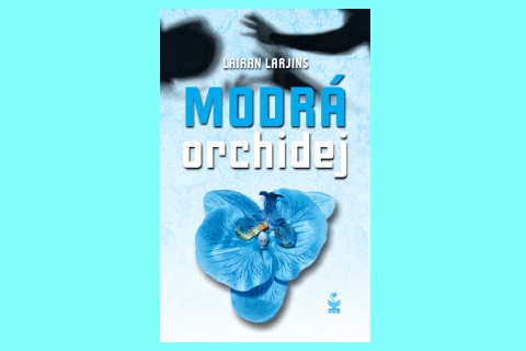modra orchidej